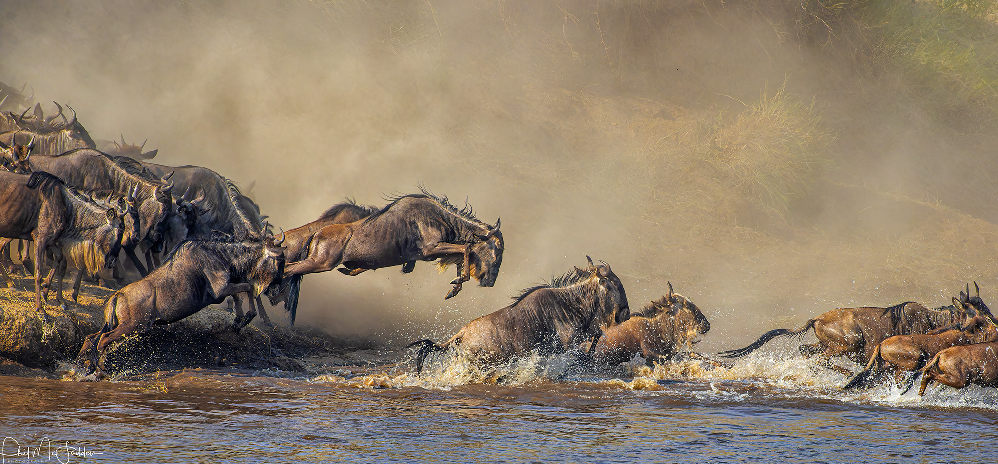 15 Days Circle of Life - River Crossing